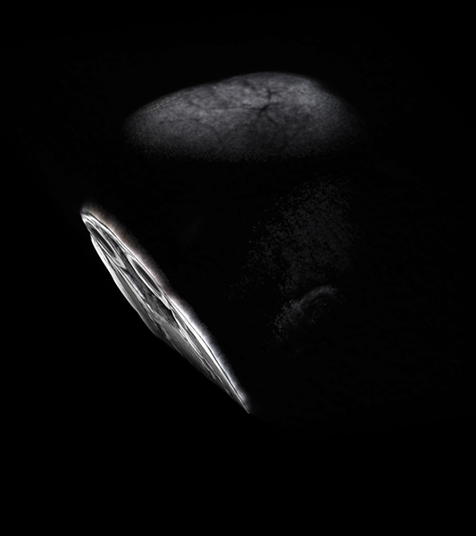vision_web